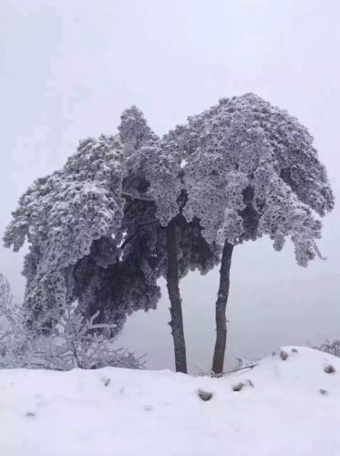 雪景