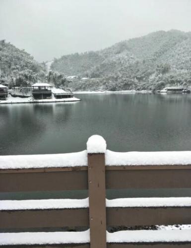 湖边观雪景